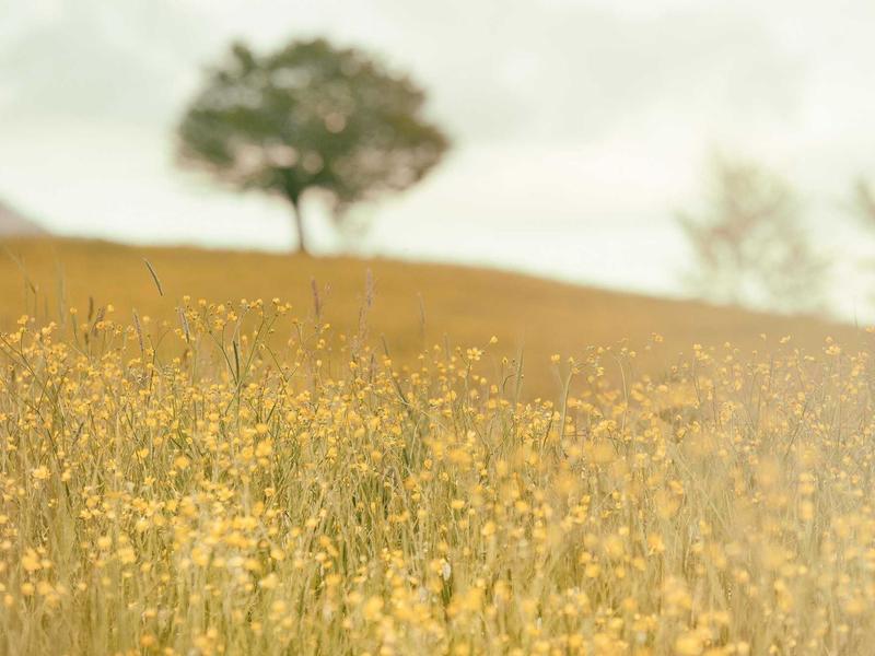 راهنمای جامع انتخاب بلبرینگ مناسب برای صنایع مختلف